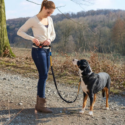 DuoRunCanin™ | laisse mains libres © bella fit 4 🐾🐾