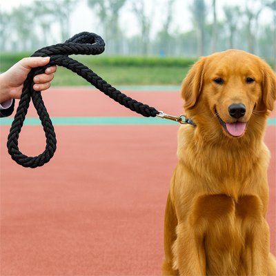 Promenade Plus™  |  laisse Confort & Sécurité © bella fit 4  🐾🐾