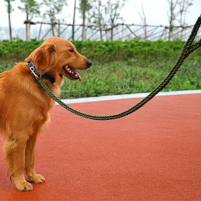 Promenade Plus™  |  laisse Confort & Sécurité © bella fit 4  🐾🐾