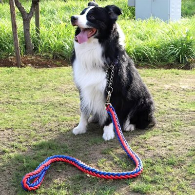 Promenade Plus™  |  laisse Confort & Sécurité © bella fit 4  🐾🐾