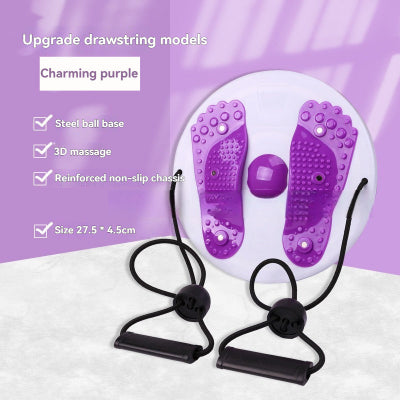 disque_de_torsion_violet