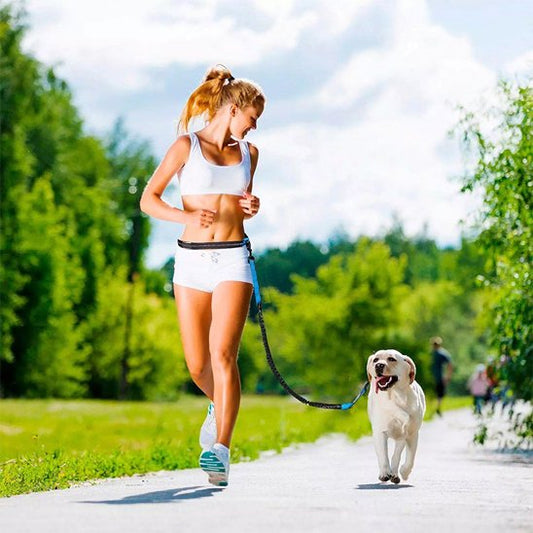 DuoRunCanin™ - laisse mains libres |© bella fit 4 pattes